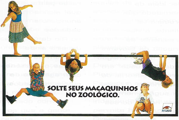 Giovanni para Rio Zoo: Macaquinhos