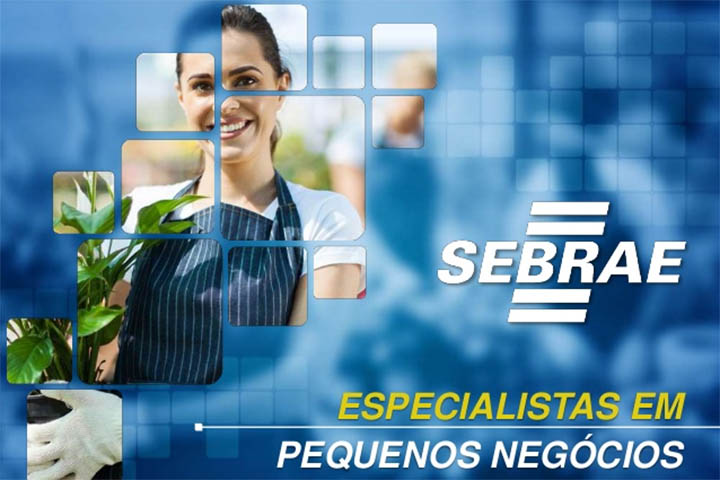 SEBRAE on LinkedIn: #CarteiraEmpreendedora